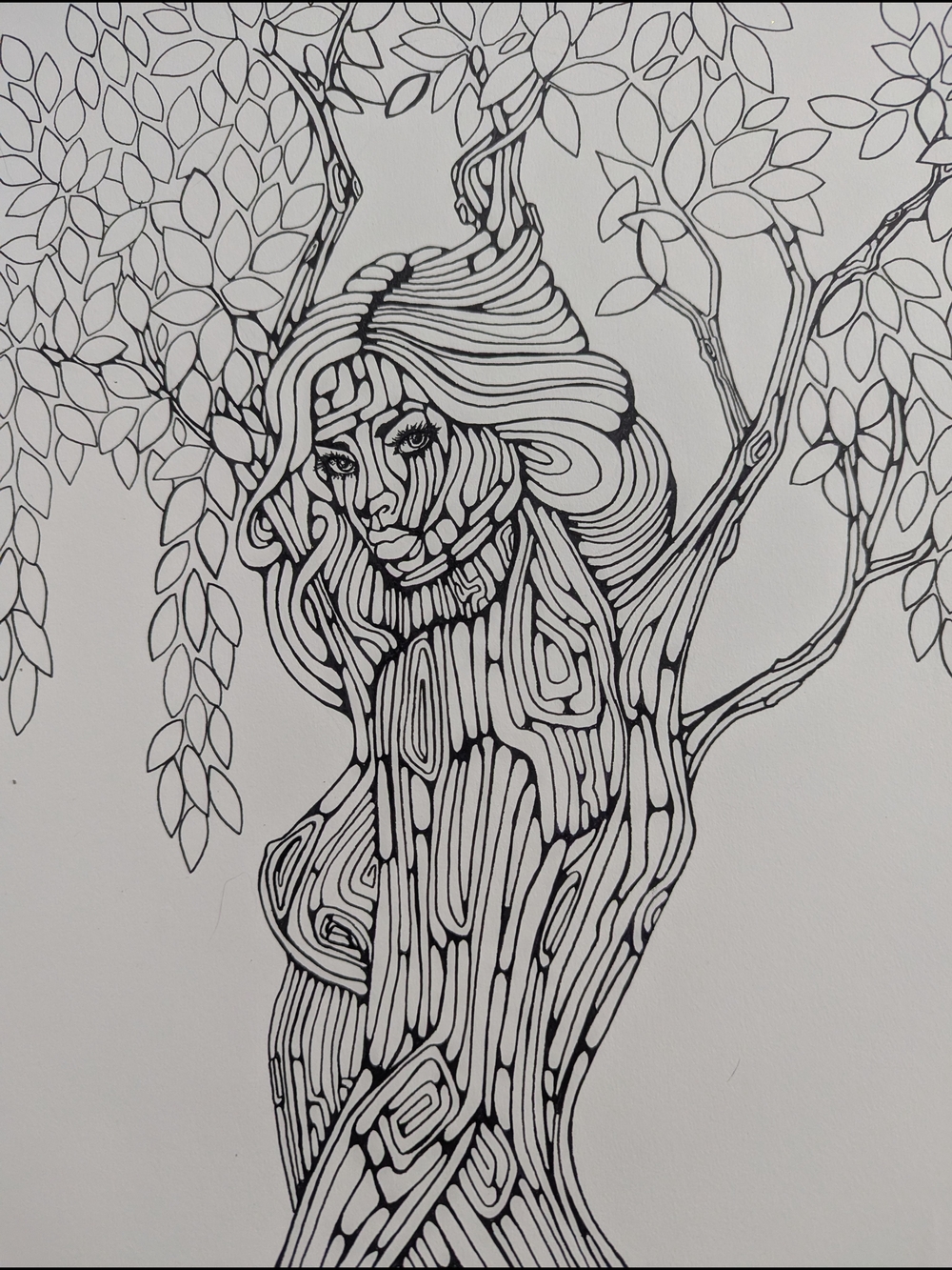 Hand-Drawn Black Ink Tree-Woman Illustration